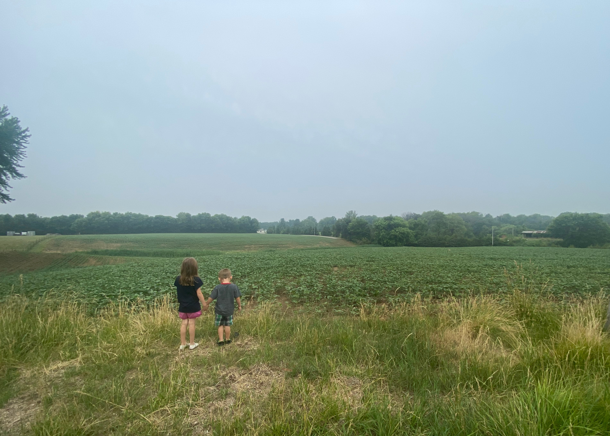 Two kids looking at an empty farm field